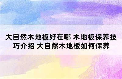 大自然木地板好在哪 木地板保养技巧介绍 大自然木地板如何保养